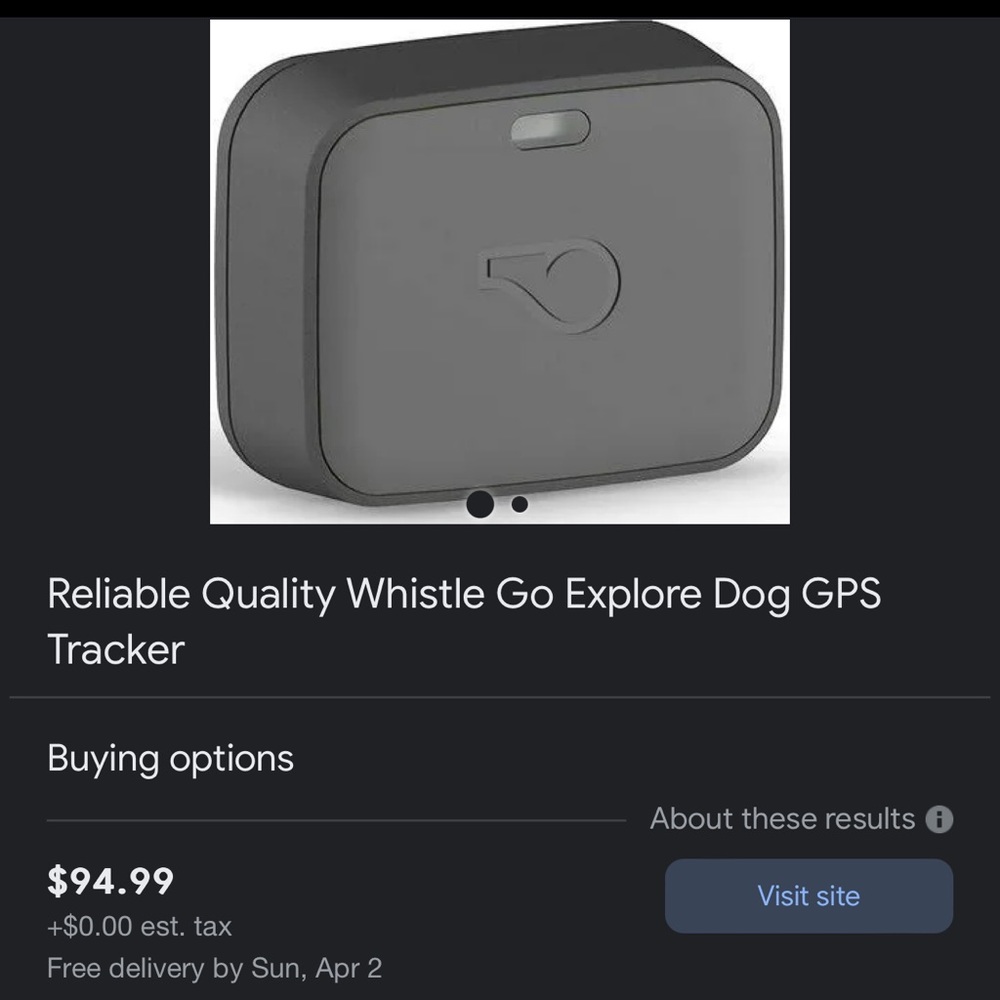Whistle GO Explore - Used, in perfect working condition